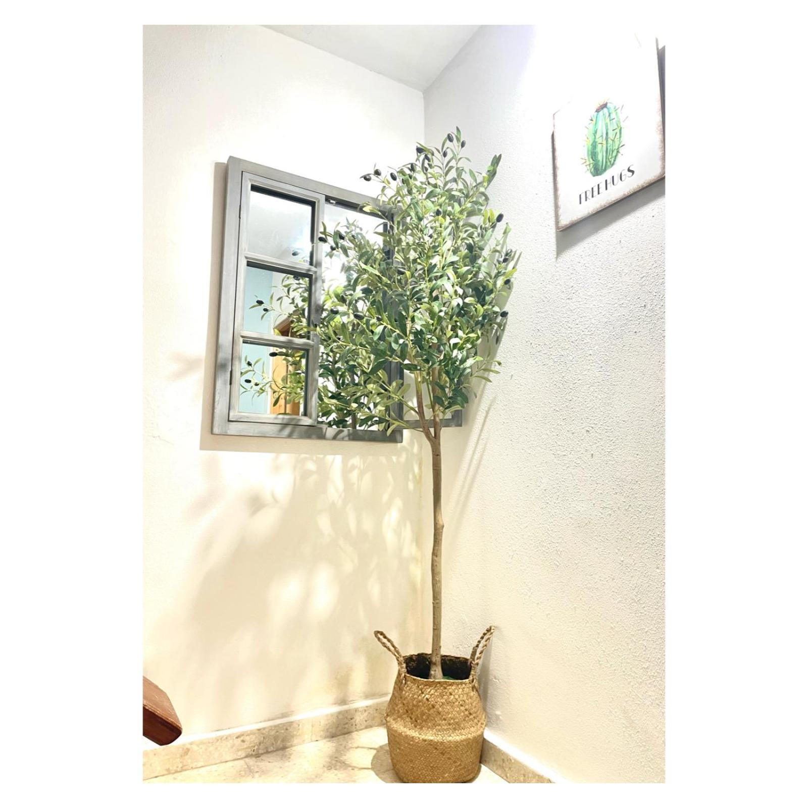 Pontevedra Apartments - Peregrina Family Suite エクステリア 写真